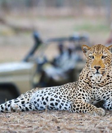 3D2N • 4 Days Victoria Falls Zimbabwe with Chobe National Park Safari Botswana and Livingstone Zambia