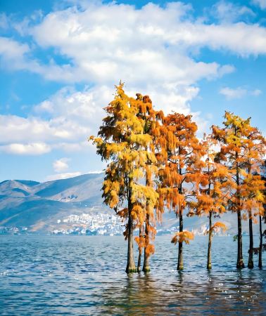 8D7N • Yunnan + Kunming + Dali City + Lijiang + Balagezong Scenic Area