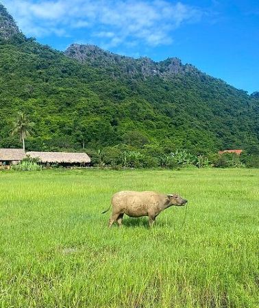 2D1N • From Cat Ba: 2D1N Boutique Cruise to Lan Ha Bay, Viet Hai Village