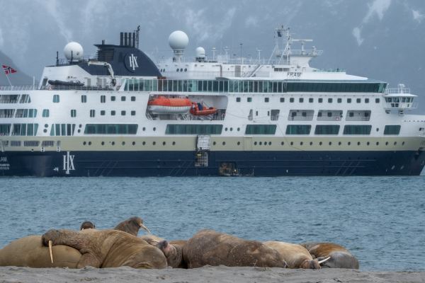 14 days · Arctic · Reykjavik - Greenland - Ittoqqortoormiit - Greenland - Ny-Alesund - Longyearbyen
