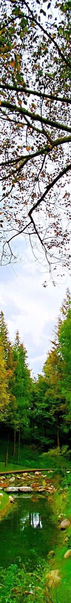瘦西湖-扬州