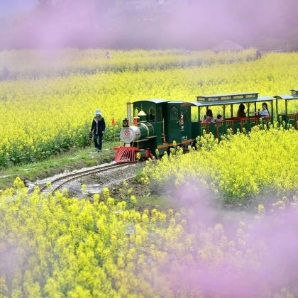 恩施市+神农架9日8晚私家团