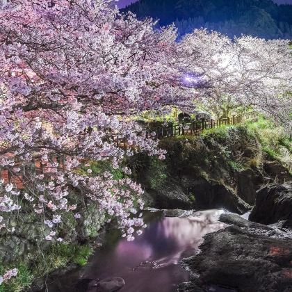 日本九州+佐贺+别府+熊本7日6晚私家团