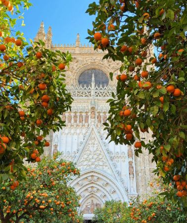 5D4N • Spain