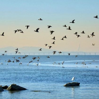 深圳4日3晚拼小团