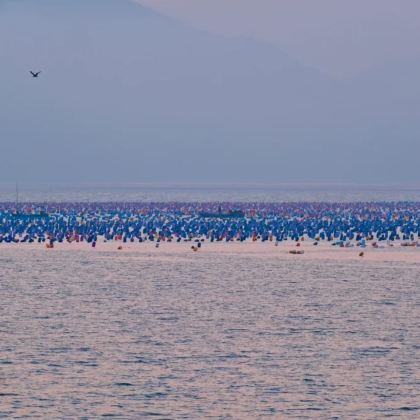 汕头+潮州+南澳岛+潮汕地区6日5晚私家团