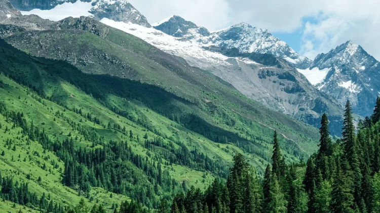 8-day 7-night · Private Tour · Chengdu + Daocheng Yading + Mount Siguniang + Moshi Park Scenic Area + Yuzixi + Xinduqiao Town