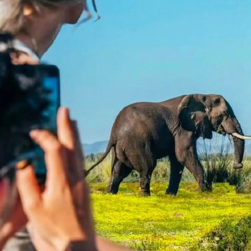 坦桑尼亚9日7晚私家团