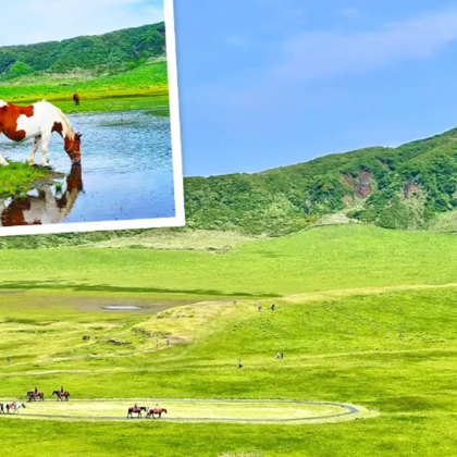 日本福冈5日4晚自由行