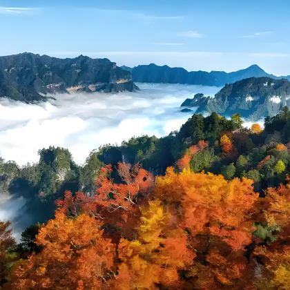 太白山公园+高江路+光雾山旅游景区+汉中龙头山国际旅游度假区+黄柏塬8日7晚私家团