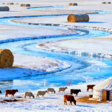 呼伦贝尔+额尔古纳2日1晚拼小团