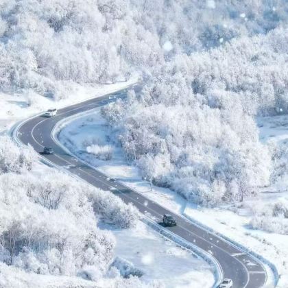 赤峰+乌兰布统鄂温克驯鹿部落+多伦+美林谷6日5晚跟团游