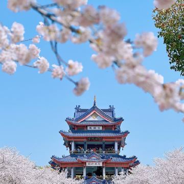 无锡+上海5日4晚私家团