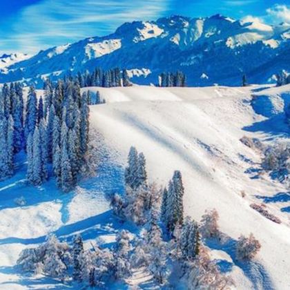 新疆北疆+伊犁+那拉提旅游风景区+赛里木湖3日2晚拼小团