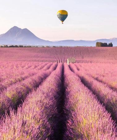 8D7N • France • 5-Star Relais & Châteaux Castle Hotel • Provence Lavender Fields • French Riviera Towns • Pink Salt Lake with Flamingos