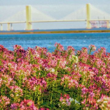 霞浦+泉州5日4晚私家团