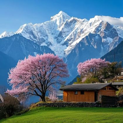 成都+九寨沟+毕棚沟+四姑娘山景区+达古冰川风景名胜区7日6晚私家团