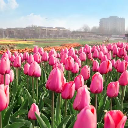 湖北武汉木兰花乡景区(木兰不夜城)+木兰清凉寨2日跟团游