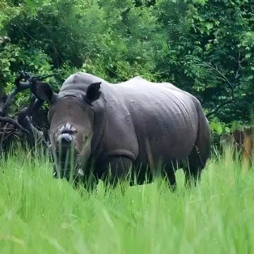 乌干达+卢旺达+埃塞俄比亚+赞比亚+博茨瓦纳+纳米比亚27日24晚跟团游