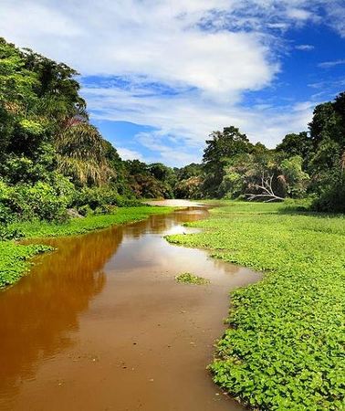 13D12N • 13 days: Jungle and Beach in Costa Rica