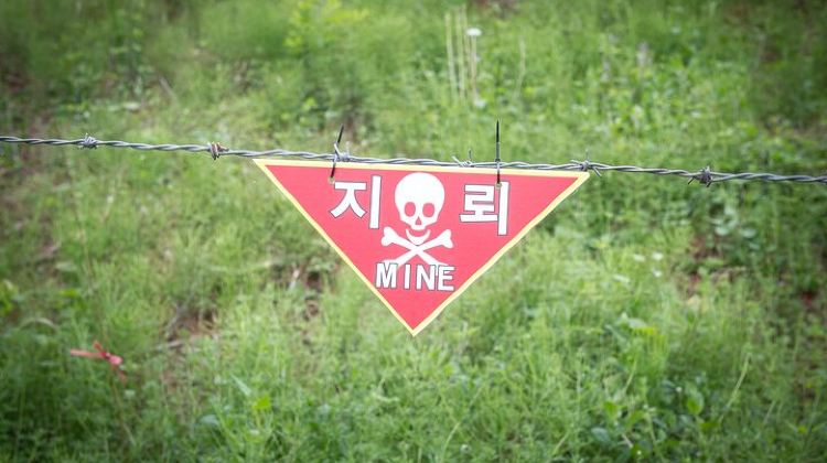 2-Day Seoul City Sightseeing and Guided DMZ Experience 2-Day Tour