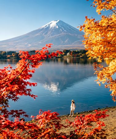 5日4晚 • 日本東京＋富士山「免費訂製行程」日本秋景天花板：红叶配雪顶富士｜东京市区1日自由活动