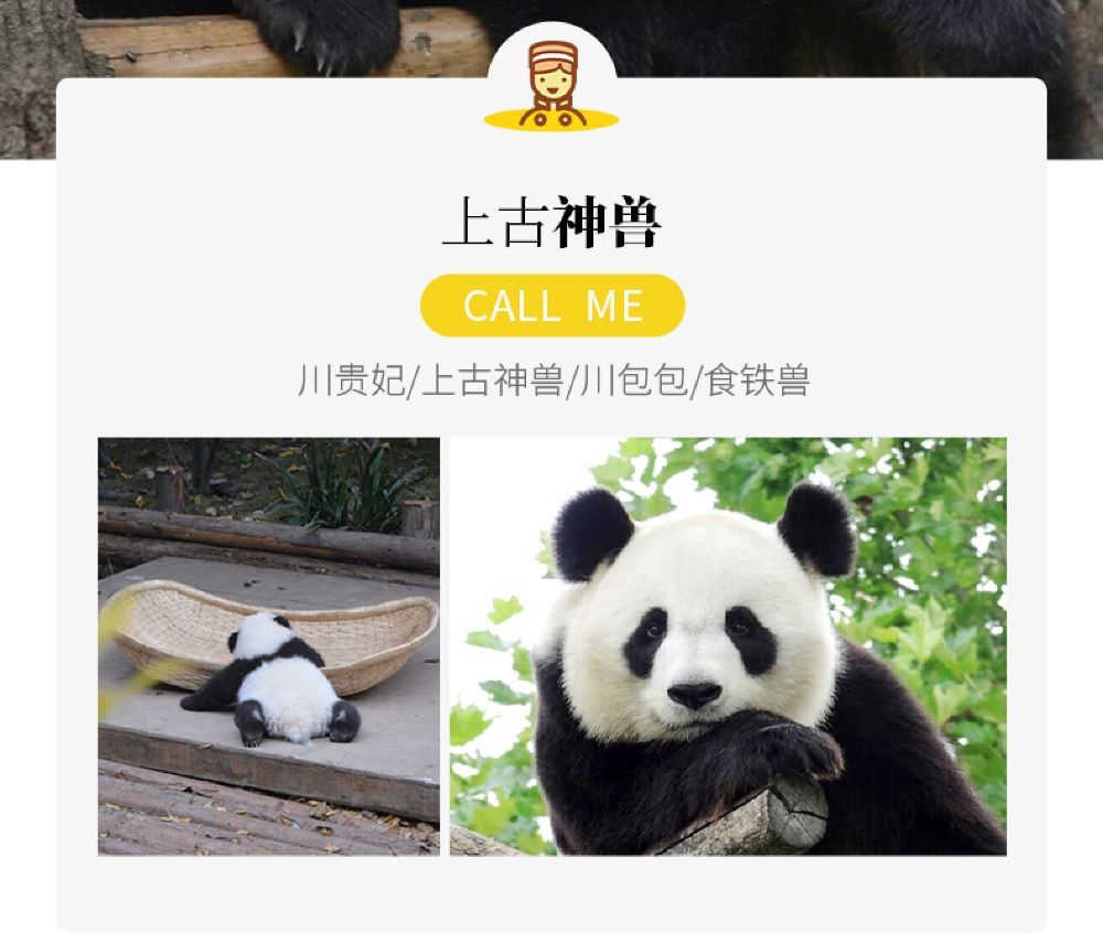 成都