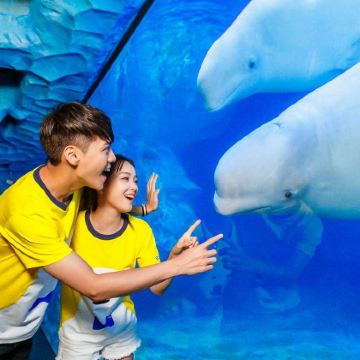 广州+深圳+珠海+佛山+惠州+江门+肇庆7日6晚私家团