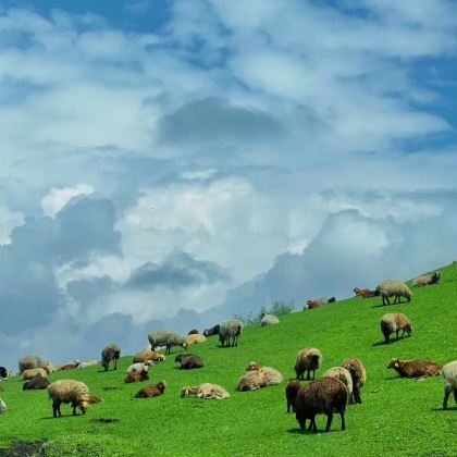 新疆北疆+伊犁8日7晚私家团