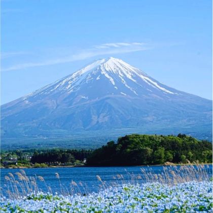 日本东京+富士山2日1晚跟团游