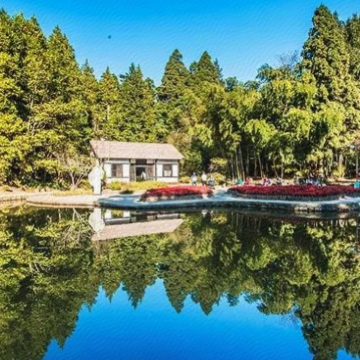 江西庐山+婺源+景德镇5日4晚拼小团