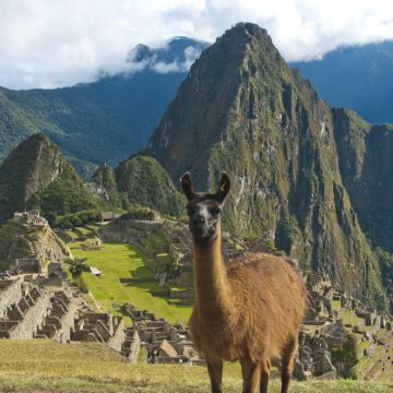 巴西+阿根廷+乌拉圭+智利+秘鲁27日跟团游