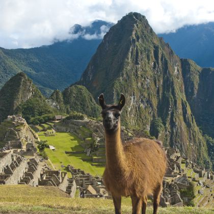 巴西+阿根廷+乌拉圭+智利+秘鲁27日跟团游