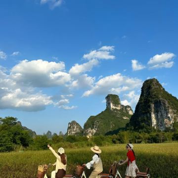 广西南宁+德天跨国瀑布景区+通灵大峡谷+明仕田园+巴马5日4晚私家团