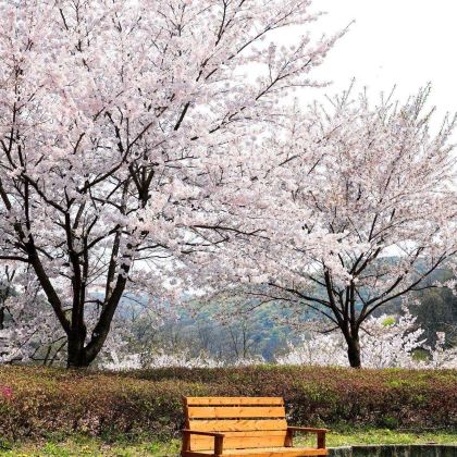 韩国济州岛3日2晚拼小团