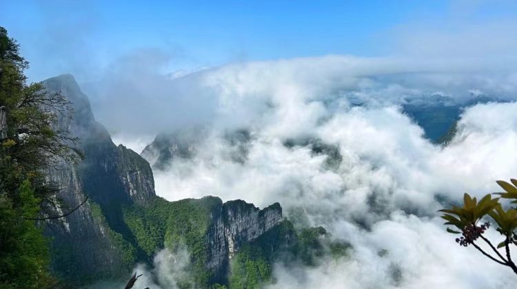 5D4N · Private Tours · Zhangjiajie + Zhangjiajie Grand Canyon + Huanglong Cave + Baofeng Lake + Tianmen Mountain National Forest Park