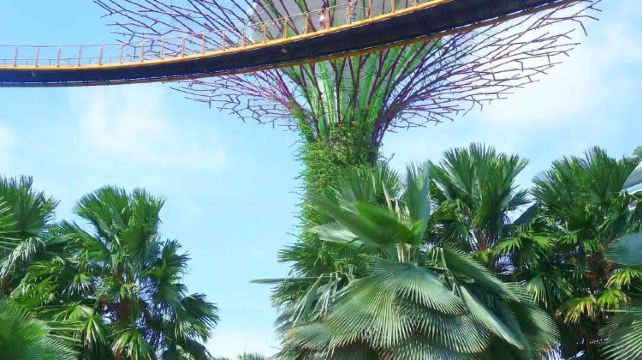 新加坡6日5晚·9人精緻小團潮玩獅城+暢遊新加坡市區（魚尾獅+濱海灣+甘榜格南+蘇丹回教堂+哈芝巷+讚美廣場+舊禧街警察局）+聖淘沙（環球影城含門票）+三大動物園 +24小時微信管家+當地中文司導+24小時接送機