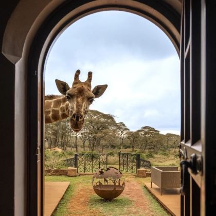 肯尼亚10日9晚跟团游