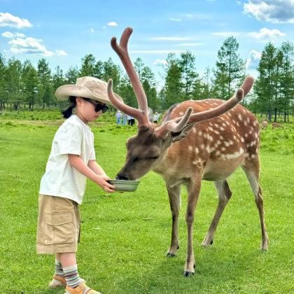 承德+乌兰布统旅游区+北京4日3晚拼小团