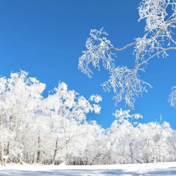 中国黑龙江哈尔滨中央大街8日7晚私家团