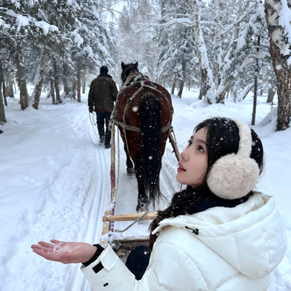 新疆北疆+乌鲁木齐+喀纳斯+禾木风景区6日5晚自由行