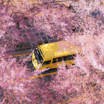 韩国济州岛4日3晚跟团游