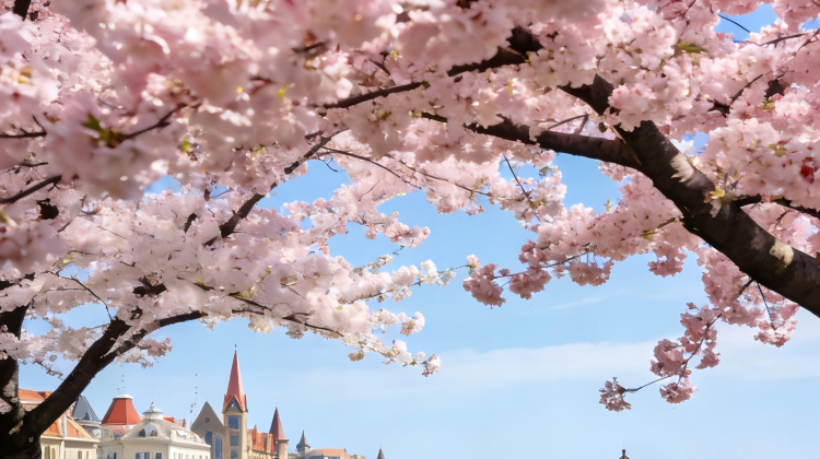 6D5N · Group Tours · Qingdao +   Laoshan Scenic Spot +   Weihai +   Yantai