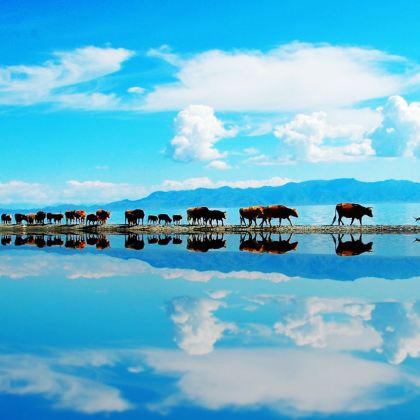 新疆北疆+伊犁+伊宁市+那拉提旅游风景区+赛里木湖3日2晚拼小团