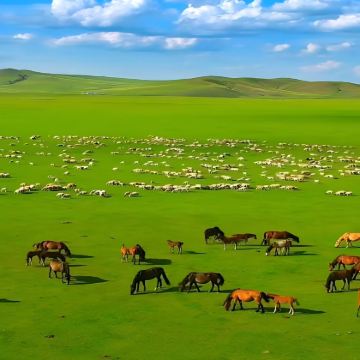 呼伦贝尔+额尔古纳+室韦+黑山头镇+满洲里5日4晚跟团游