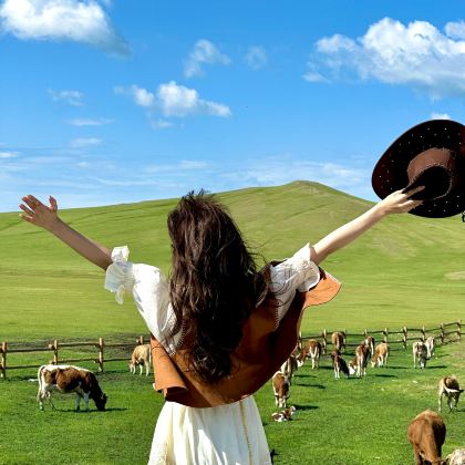 哈尔滨+齐齐哈尔+海拉尔+呼伦贝尔大草原+满洲里+额尔古纳湿地+漠河+北极村+黑河+五大连池市+伊春10日9晚跟团游