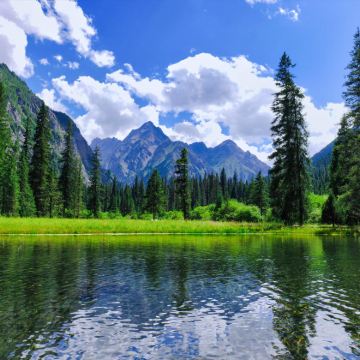 平武报恩寺+王朗大熊猫探秘营地2日1晚跟团游