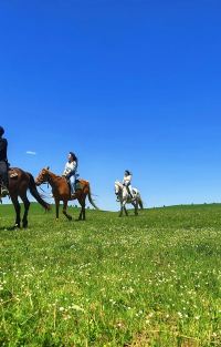 秦皇岛+北戴河+山海关+承德+避暑山庄+乌兰布统旅游区+木兰围场6日5晚拼小团图片