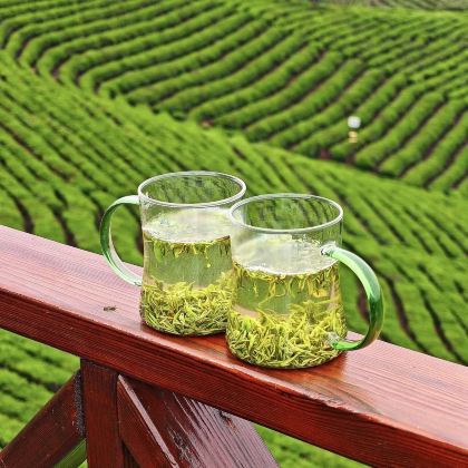 河南信阳+文新茶村2日1晚私家团