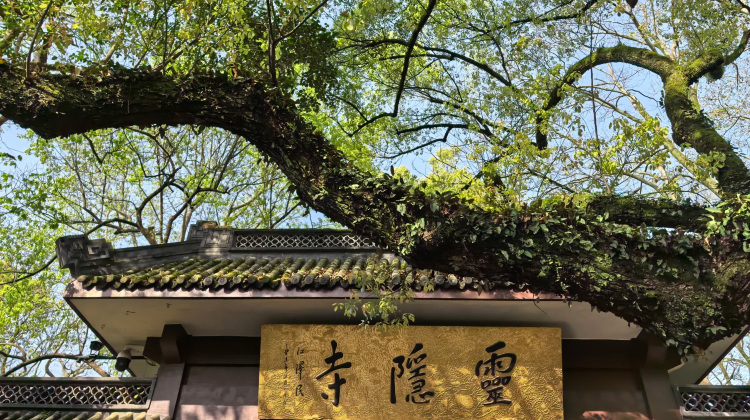 上海+9